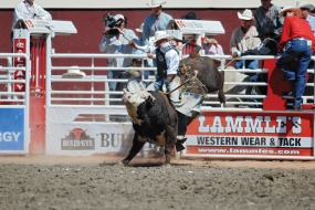 Stampede Rodeo show - Calgary