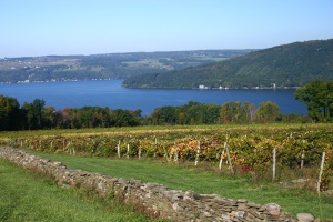 wijngaarden aan Keuka Lake | Finger Lakes