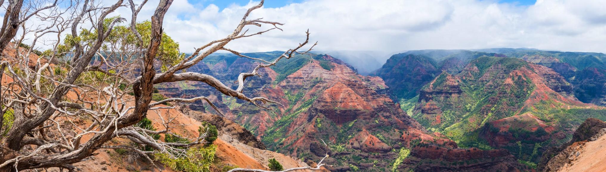 USA - Kauai - Waimea Canyon 