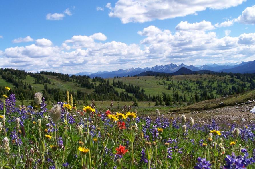 Canada Manning Park