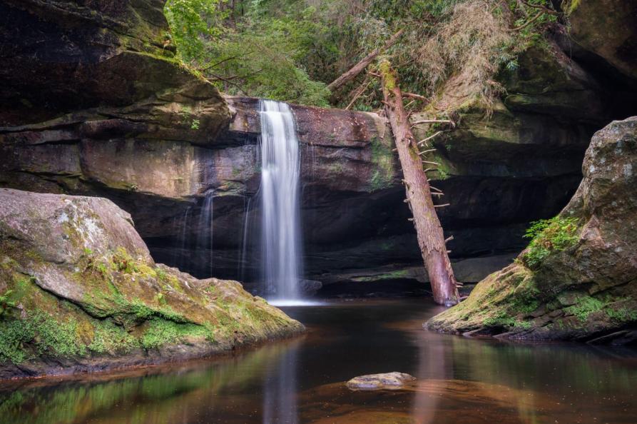 USA - Kentucky - Dog Slaughter Falls