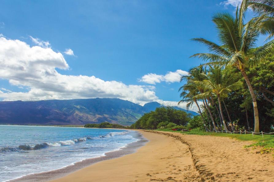 USA - Hawaii - Maui
