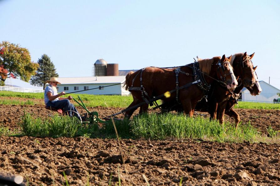 USA Amish in Lancaster Pennsylvania