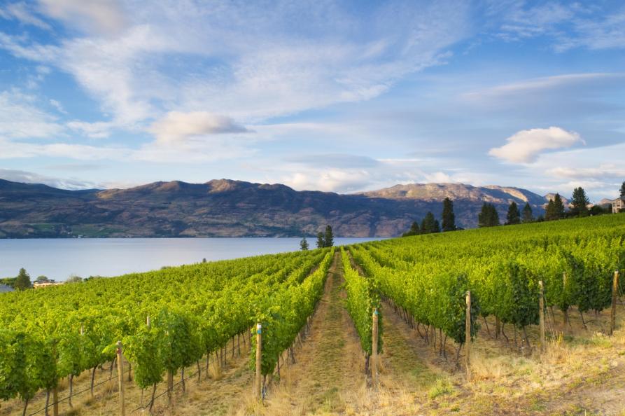 Canada Okanagan Valley