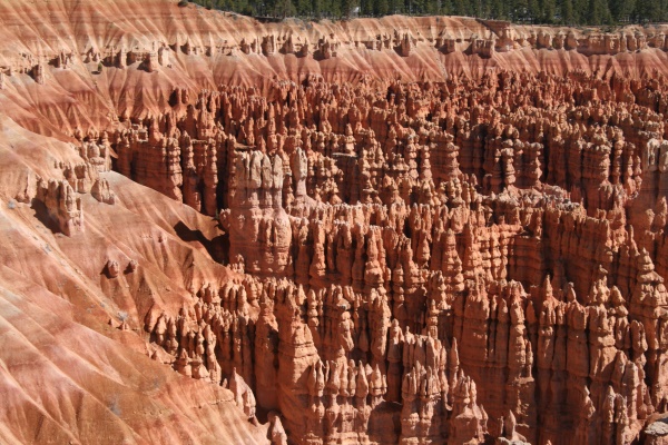 torentjes | Bryce National Park