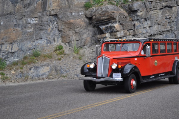 Historische Auto tour naar Logan Pass | Glacier NP USA