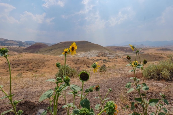 historische boerderij | Painted Hills