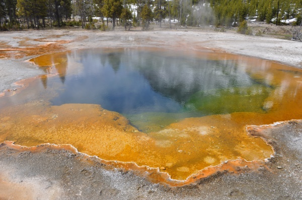 Grand Prismatic Spring | Yellowstone National Park