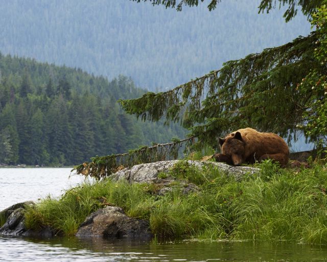 Bezienswaardigheden Canada