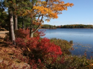Prachtige kleuren in de herfst | Acadia National Park