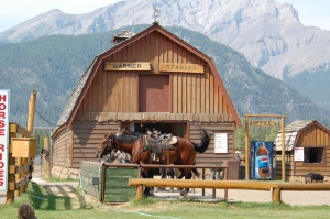 Warner Stables  Banff Trail Riders | Banff   dorp