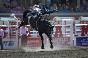 rodeo | Billings