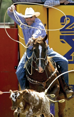 Stampede rodeo | Calgary