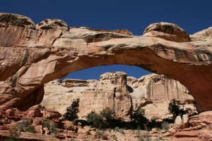 Hickman Bridge | Capitol Reef National Park