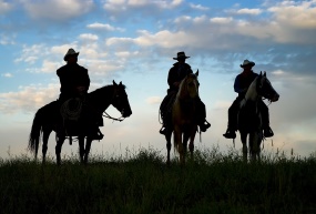 cowboys in de wilderness | Cheyenne