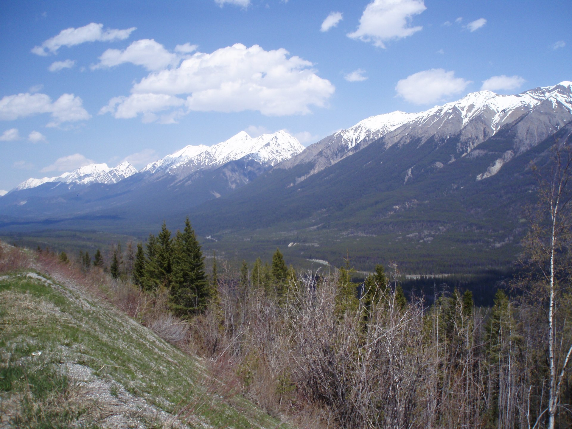 uitzicht op de Rocky Mountains | Columbia Valley