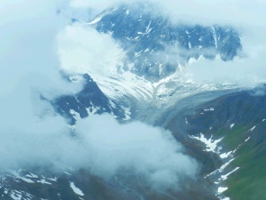 eagles view | Cook Inlet