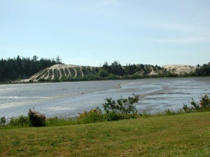 naast veel zandduinen ook het nodige groen | Coos Bay