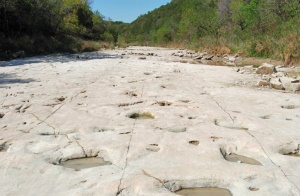 voetafdrukken in Dinosaur Valley State Park | Dinosaur Valley State Park