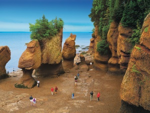 Hopewell Rocks | Fredericton