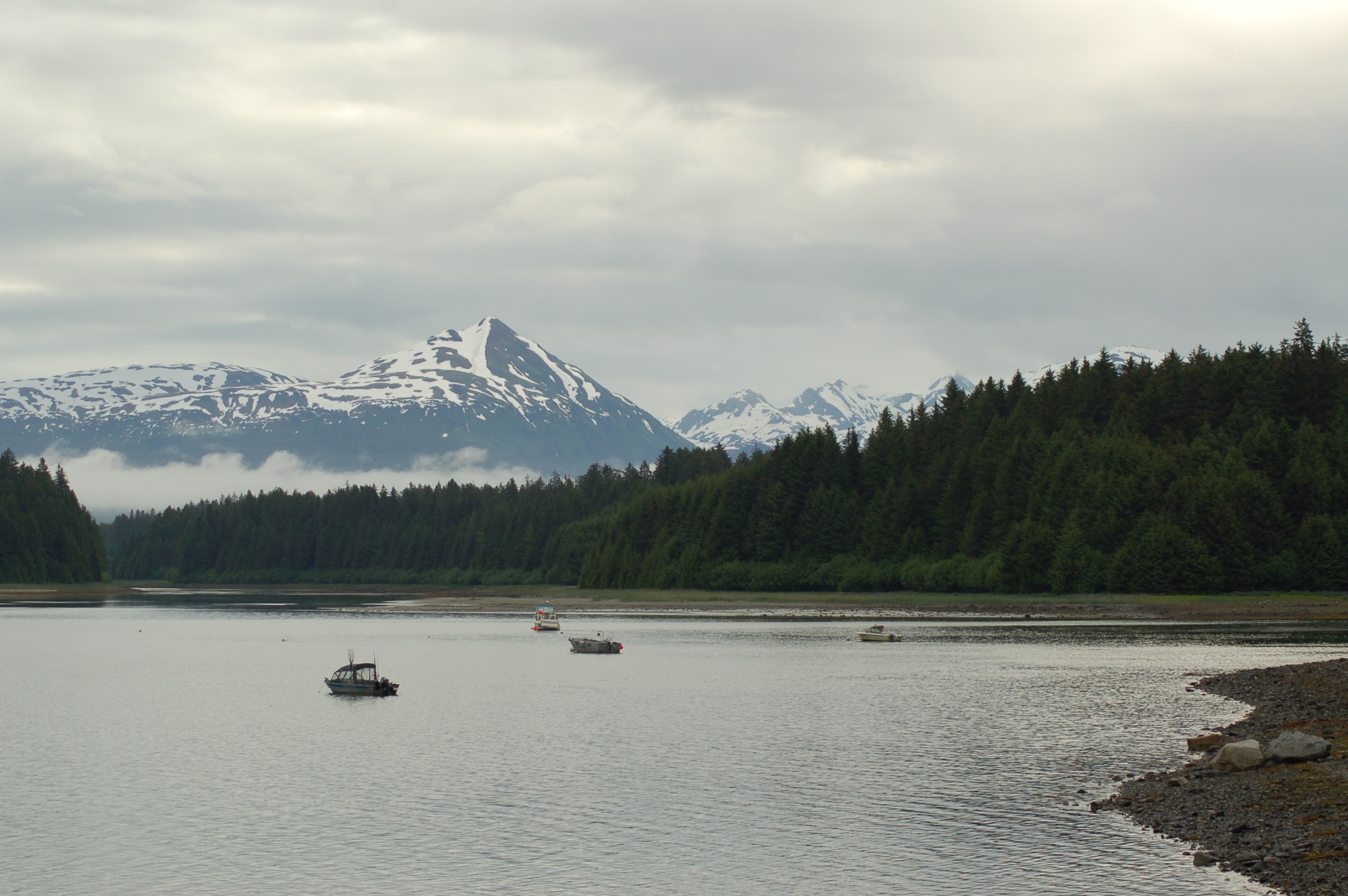 uitzicht op de besneeuwde bergtoppen | Glacier Bay National Park