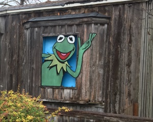 geboorteplaats van Kermit in Leland Mississippi | Greenville Heart and Soul of the Blues