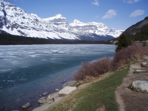 prachtig uitzicht vanaf de Yellowhead Hwy | Jasper AB