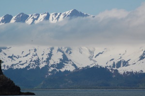 indrukwekkend uitzicht vanaf een boot | Kenai Fjords National Park