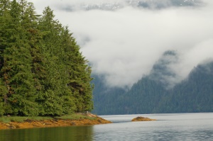 uitzicht vanaf de boot tijdens een grizzly excursie | Khutzymateen