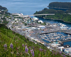 uitgestrekte haven | Kodiak Island