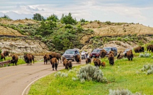 Theodore Roosevelt N.P. | Medora