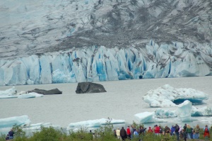 drijvende ijsschotsen | Mendenhall Glacier