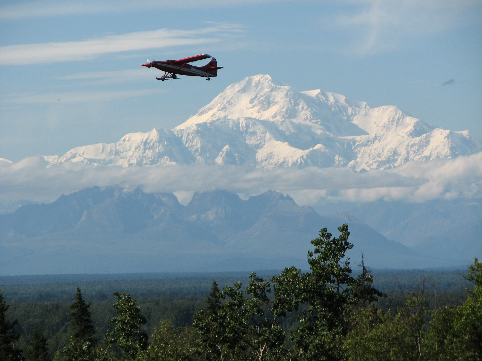 sightseeing tour | Mount McKinley