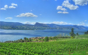 wijngaarden aan Okanagan Lake | Naramata