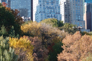 uitzicht vanuit Central Park | New York