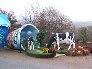 ijsfabriek van Ben en Jerrys in Burlington | Noordelijke Green Mountains