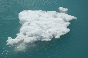 ijsschotsen in het gletsjerwater | Northwestern Fjord