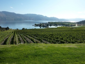 wijnbouw in de Okanagan | Okanagan