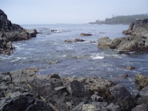 rotsachtige kust | Pacific Rim National Park