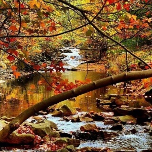 vele wandelmogelijkheden door de heuvels en valeien | Pocono Mountains