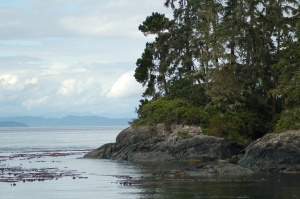 de baai van Port Hardy | Port Hardy