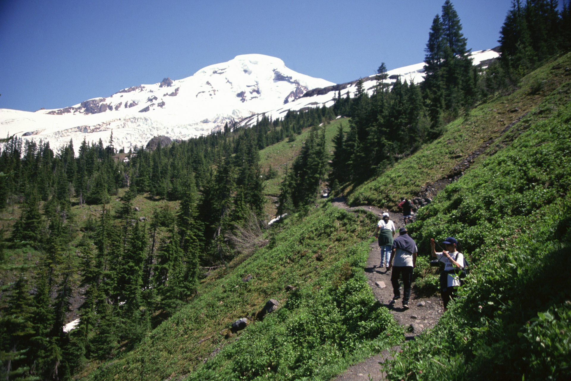 uitzicht op de Cascade Mountains | Portland  OR