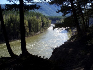 uitzicht op de Columbia River tijdens een wandeling | Radium Hot Springs