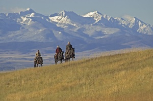 paardrijden over de uittgestrekte vlaktes | Rocky Mountain National Park