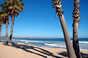 palmbomen op het strand | Santa Barbara