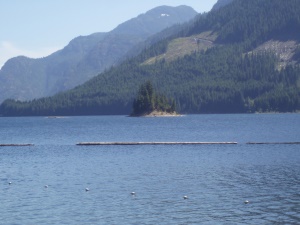 oudste provinciale park van British Columbia | Strathcona Provincial Park