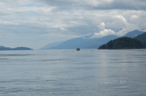 uitzicht tijdens een Whalewatch Tour | Vancouver Island