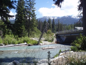 Cheakamus River | Whistler