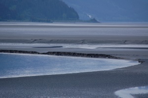 laag water voor de kust | Whittier