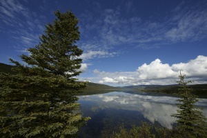 prachtige weerspiegeling in het strak blauwe water | Wonder Lake